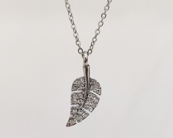 Pendant on a chain