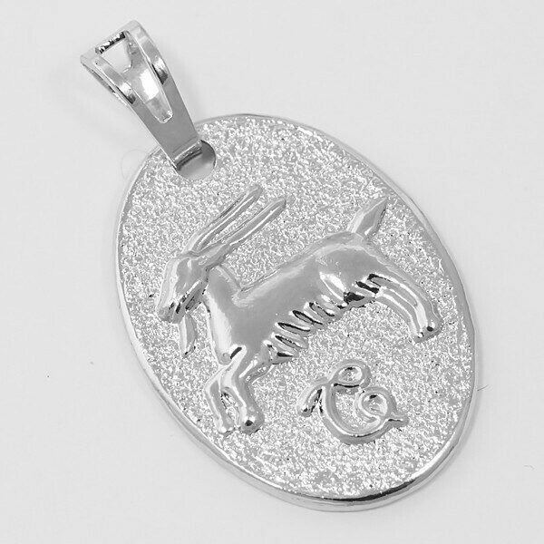 Pendant Zodiac Sign Capricorn N712500090