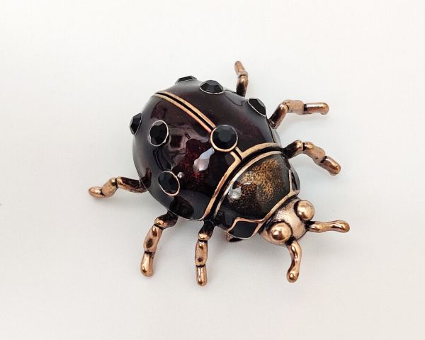 Beetle Brooch