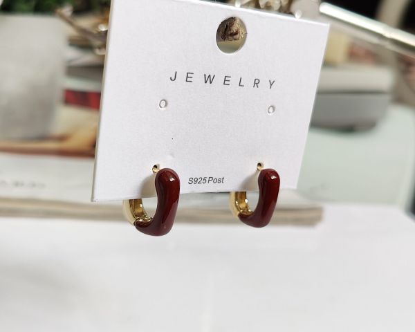 Earrings with enamel