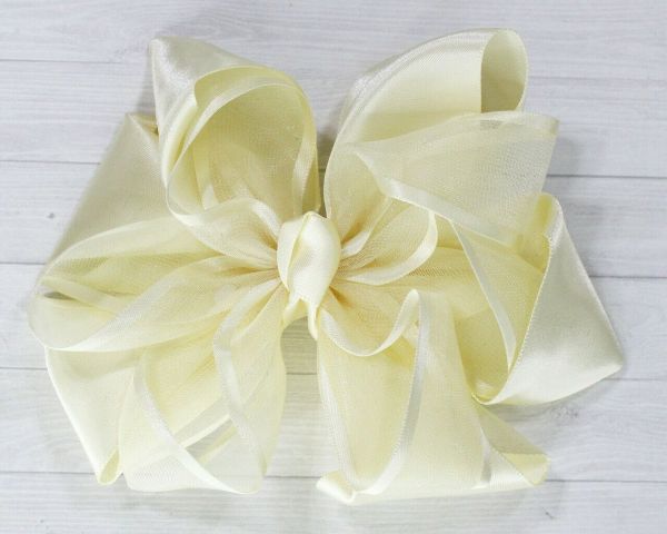 Hair Clip Z653700075