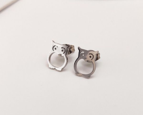 Steel earrings