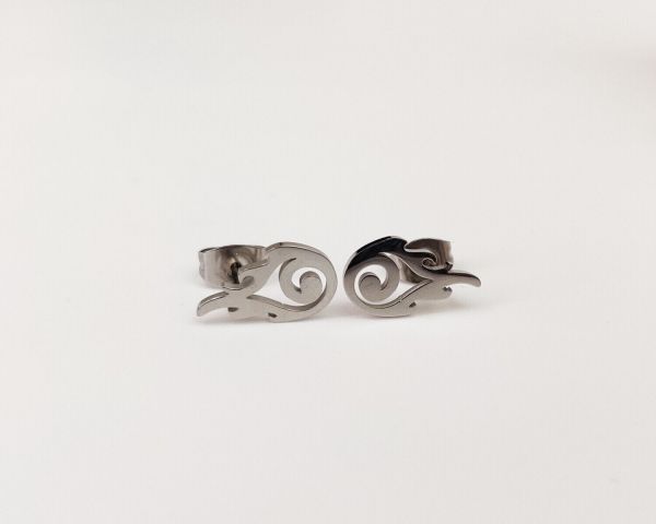 Steel earrings