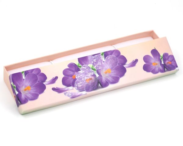 Gift box (20*4) Crocus flower