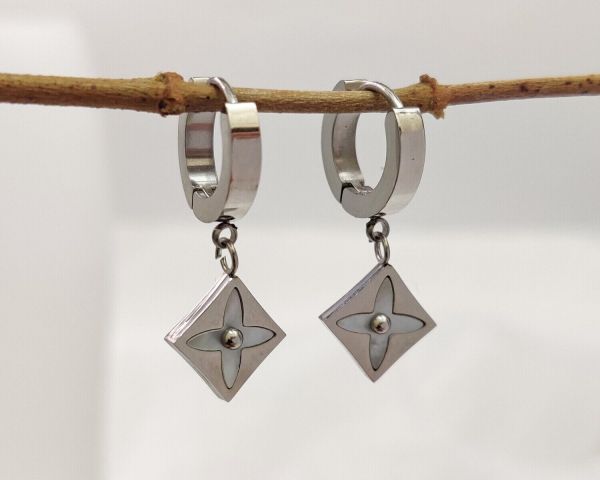 Steel earrings