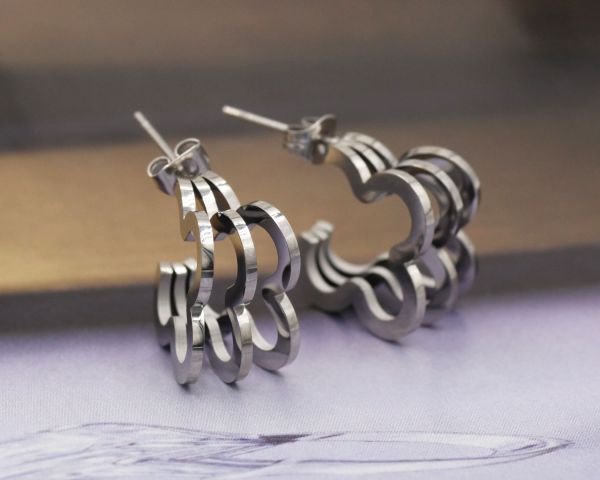 Steel earrings